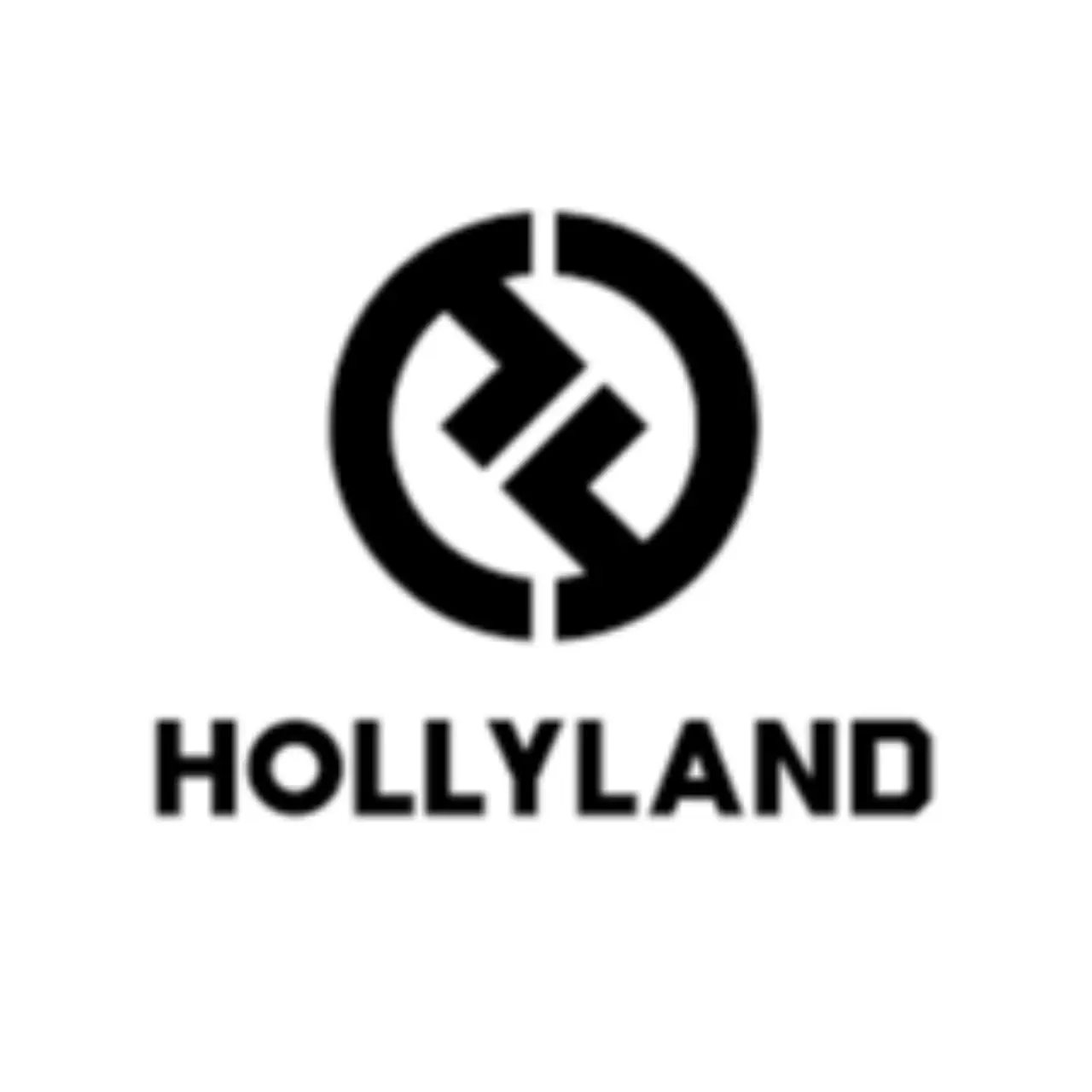 Hollyland